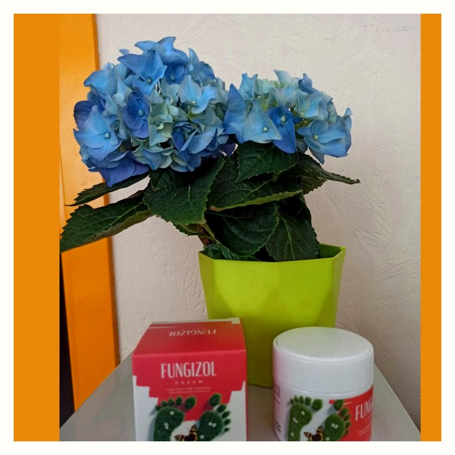 Fungizol – снимка 4